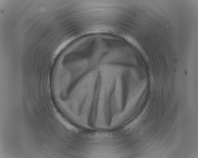 X0000076300842200610271912