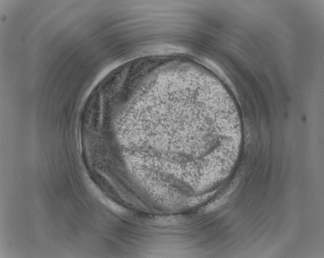 X0000076300843200610271912