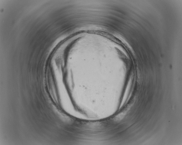 X0000076300845200610271912