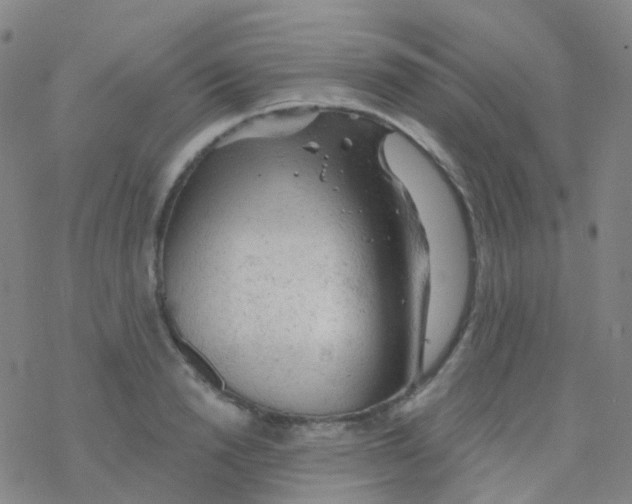 X0000076300846200610271912