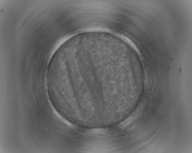 X0000076300847200610271912