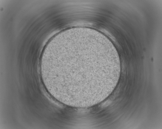 X0000076300848200610271912