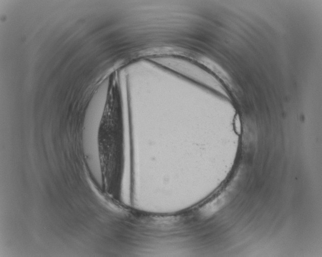 X0000076300849200610271912