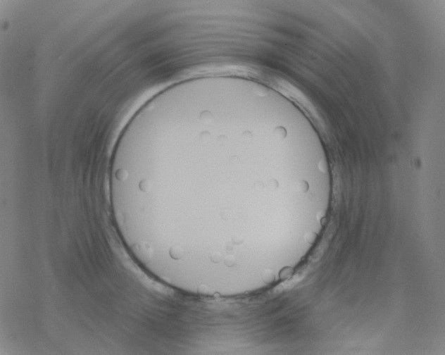 X0000076300852200610271912