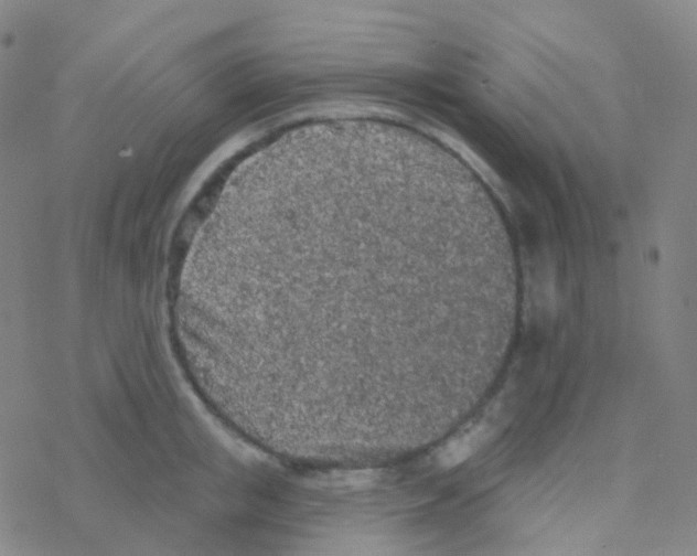 X0000076300853200610271912