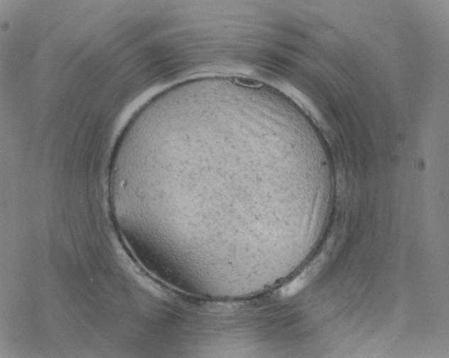 X0000076300854200610271912