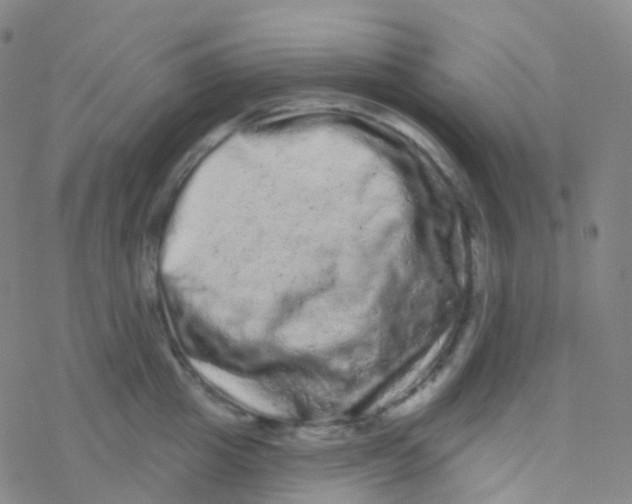 X0000076300857200610271912