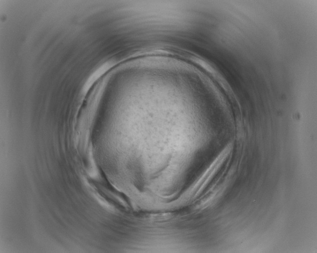 X0000076300858200610271912