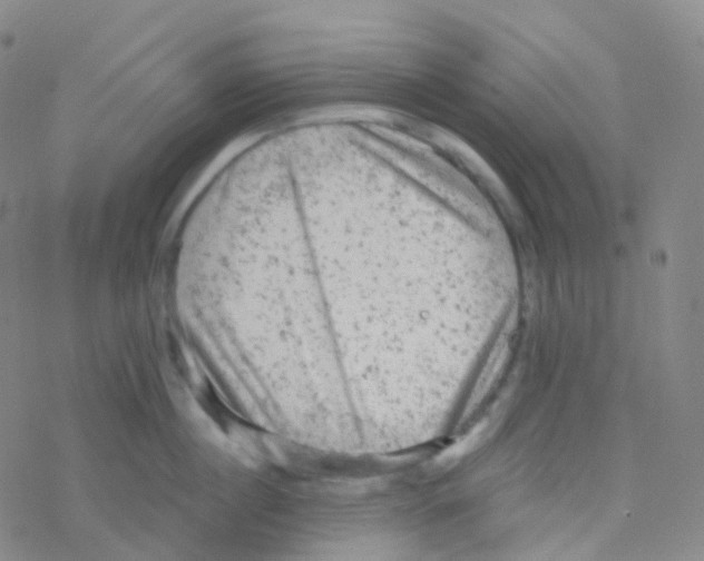 X0000076300860200610271912