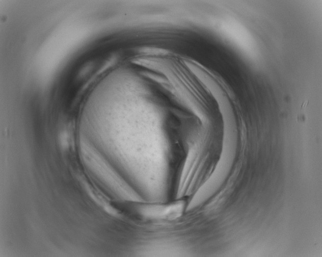 X0000076300862200610271912