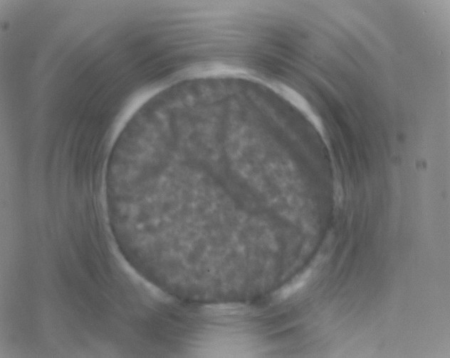 X0000076300863200610271912