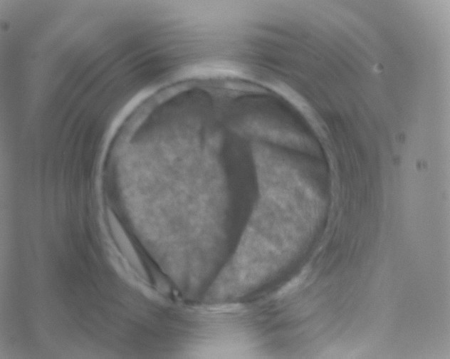 X0000076300864200610271912