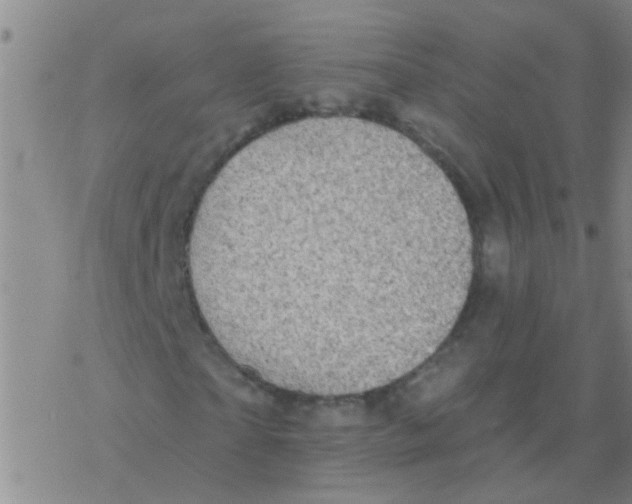 X0000076300865200610271912