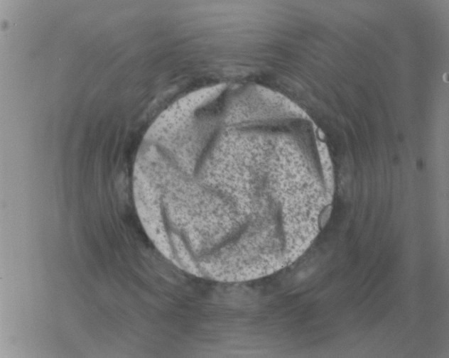 X0000076300866200610271912