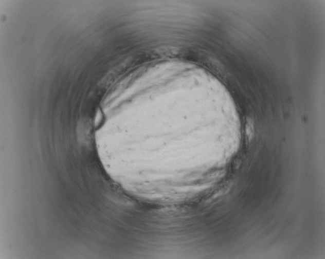 X0000076300867200610271912