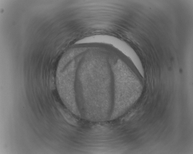 X0000076300868200610271912