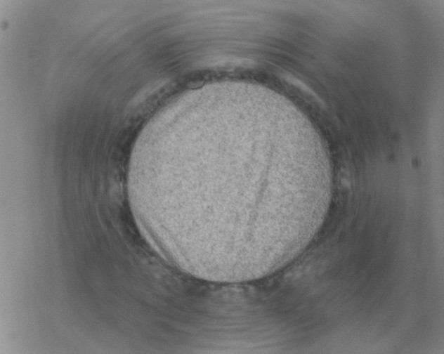 X0000076300869200610271912