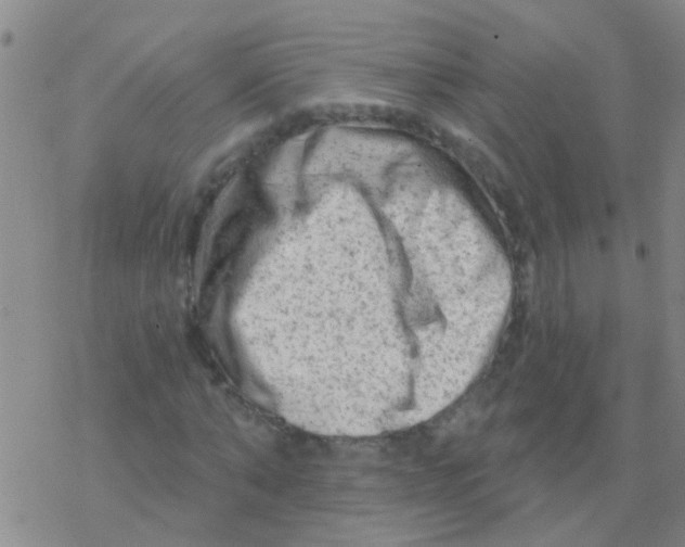 X0000076300870200610271912