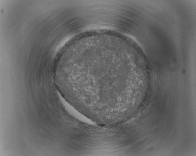 X0000076300871200610271912