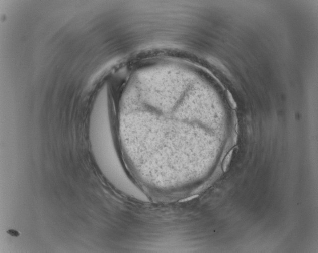 X0000076300872200610271912