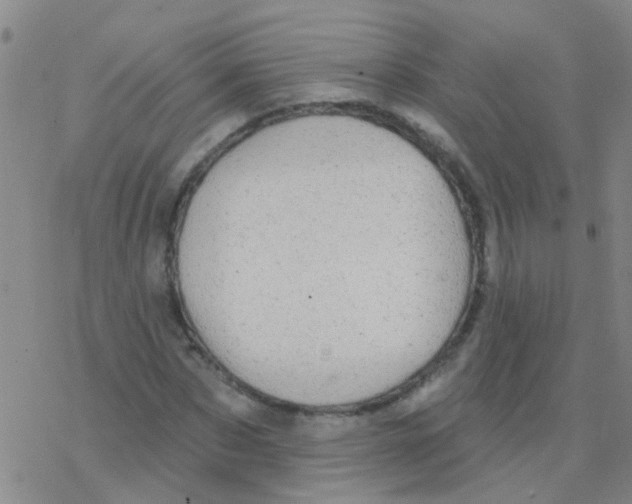 X0000076300873200610271912