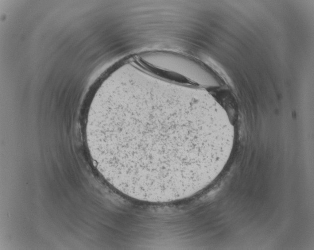 X0000076300876200610271911