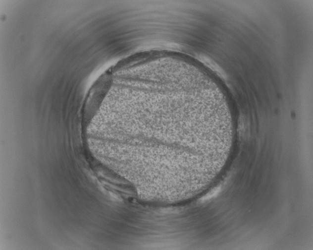 X0000076300877200610271911