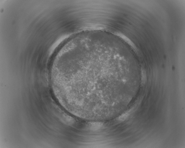 X0000076300878200610271911