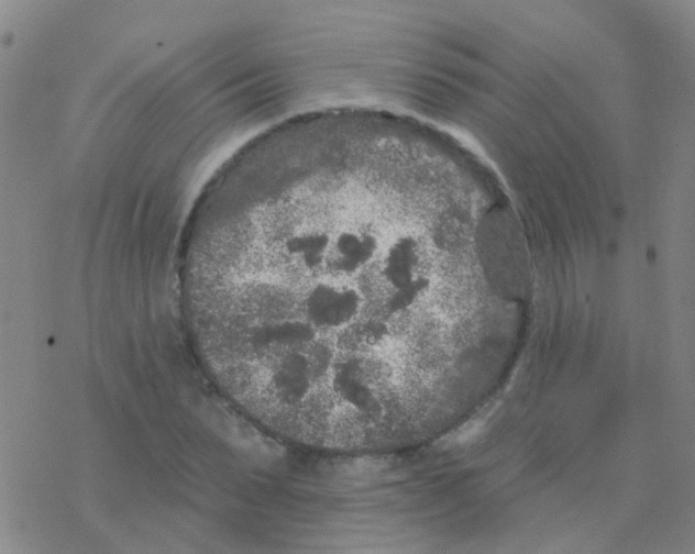 X0000076300879200610271911