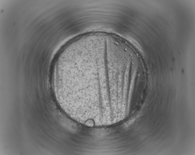 X0000076300880200610271911