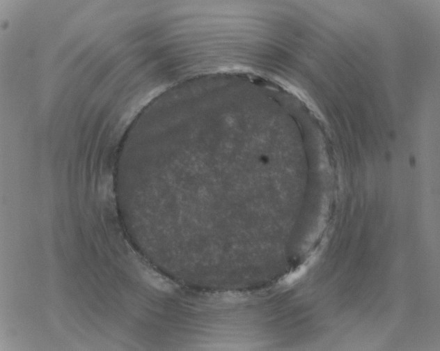 X0000076300881200610271911