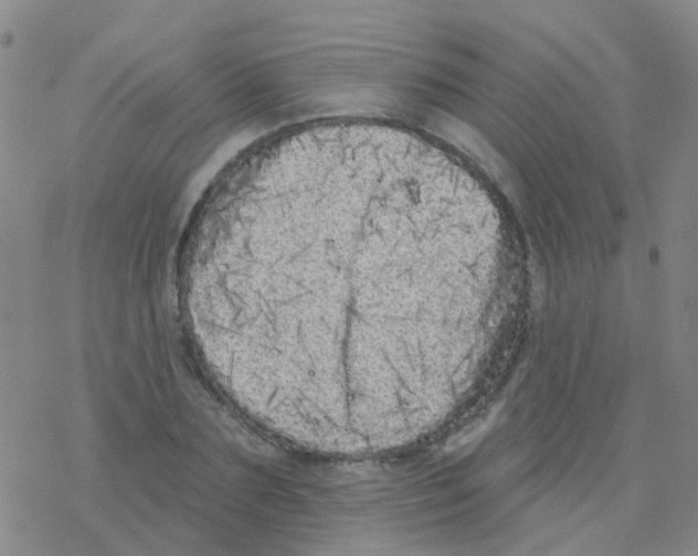 X0000076300883200610271911