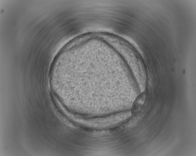 X0000076300887200610271911