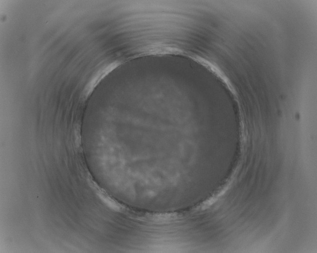 X0000076300889200610271911