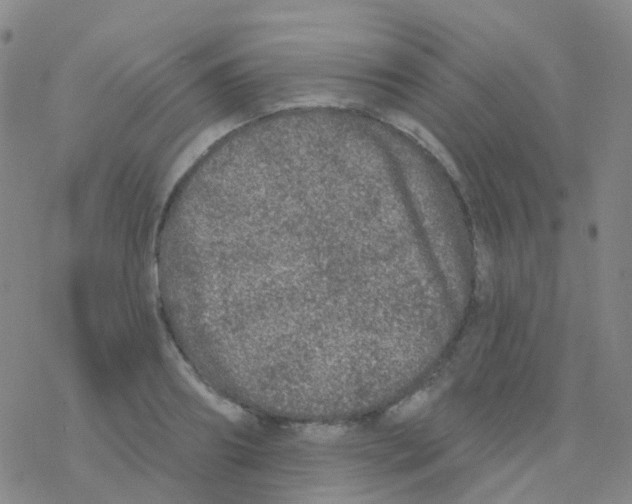 X0000076300890200610271911