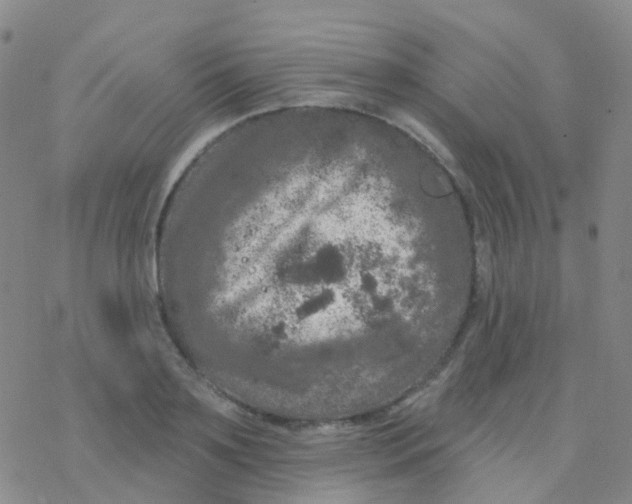 X0000076300891200610271911