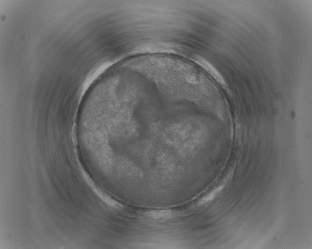 X0000076300893200610271911