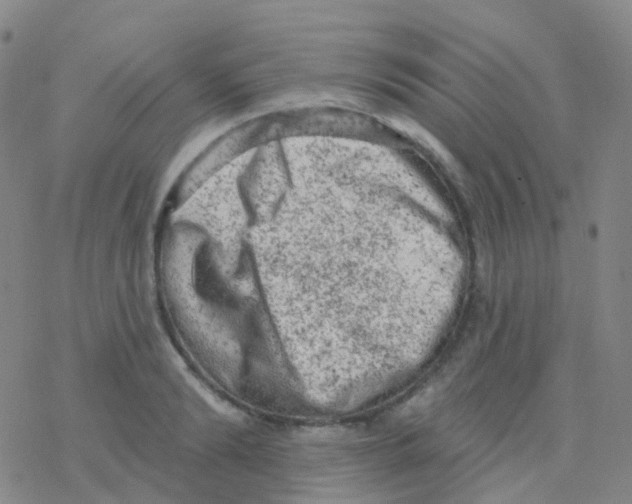 X0000076300894200610271911