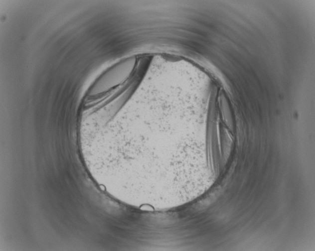 X0000076300896200610271911