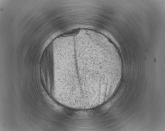 X0000076300898200610271911