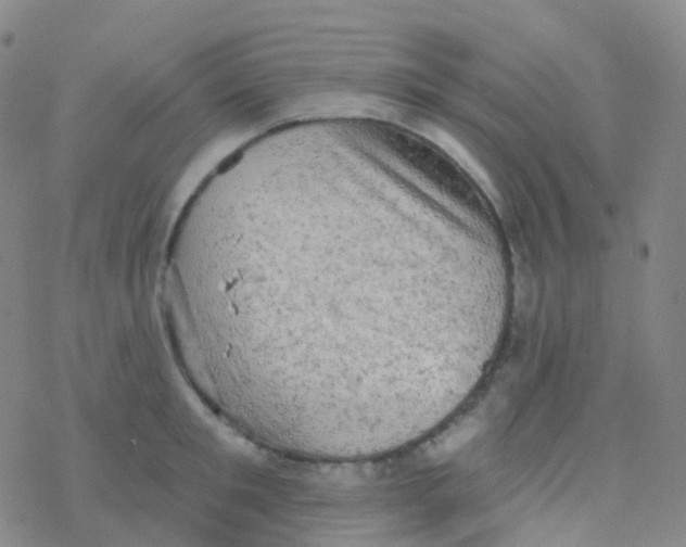 X0000076300901200610271911