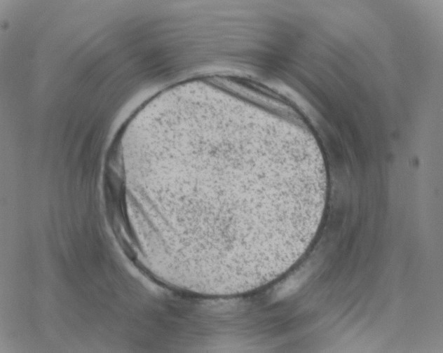 X0000076300902200610271911