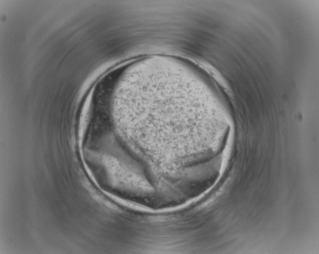 X0000076300904200610271911