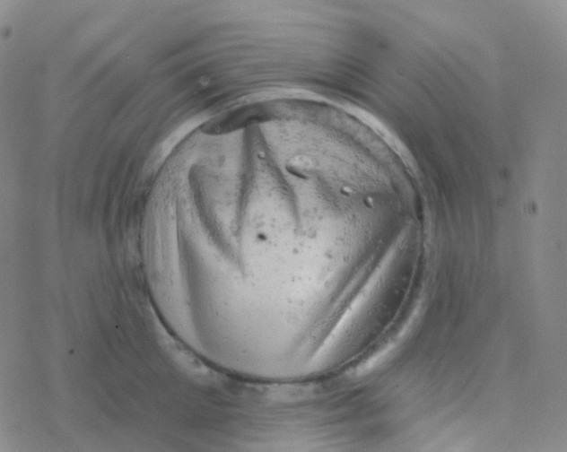 X0000076300905200610271911