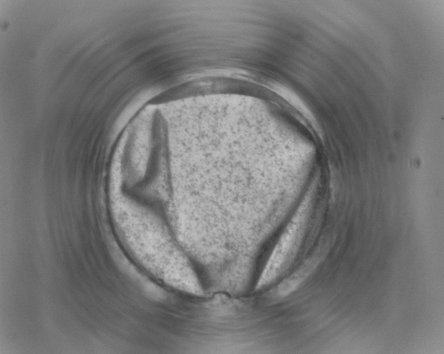 X0000076300906200610271911