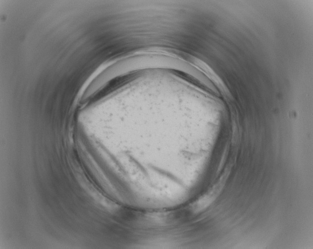 X0000076300908200610271911