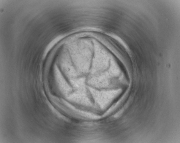 X0000076300910200610271911