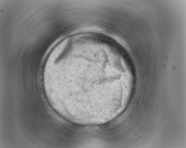 X0000076300912200610271911