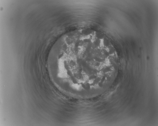 X0000076300913200610271910