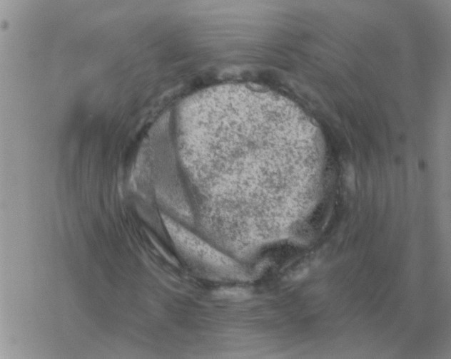 X0000076300914200610271910